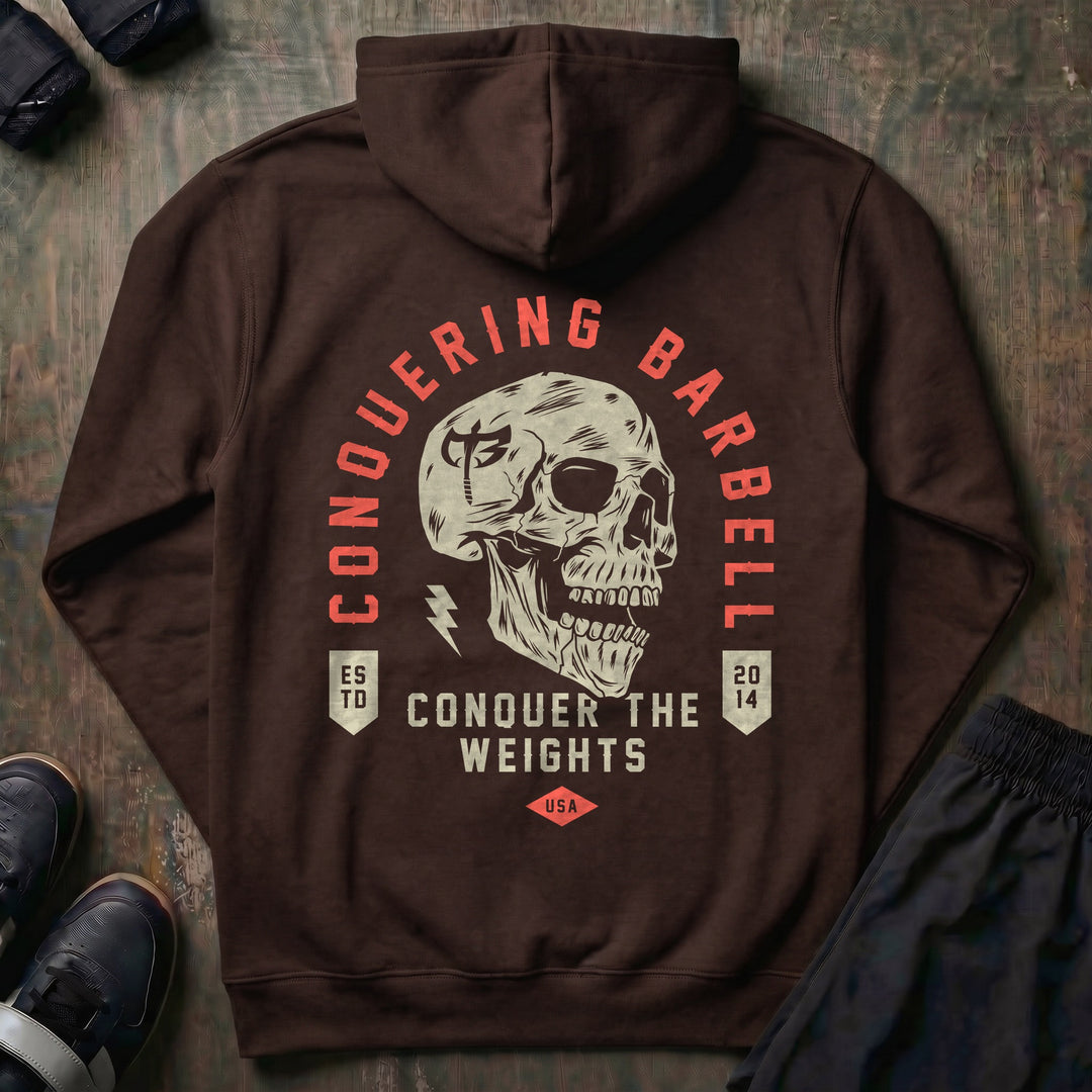 CB Iconic Skull pullover hoodie in Brown, back print
