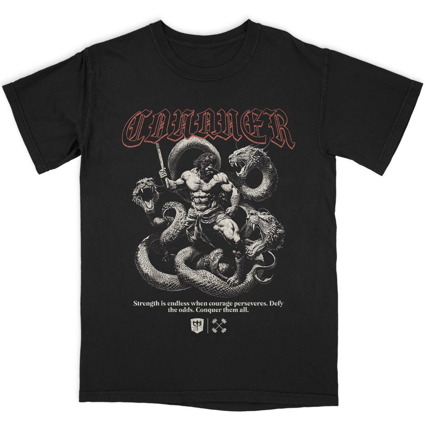 Hercules vs Hydra - Oversized tee - Conquering Barbell