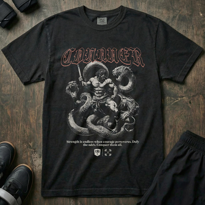 Hercules vs Hydra relaxed fit tee in Black