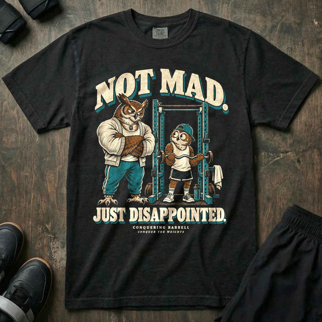 Not Mad. Just Disappointed - Relaxed Fit Tee front graphic in Black with an owl dad in a cardigan with arms crossed watching a young owl curl a barbell in the squat rack - Conquering Barbell