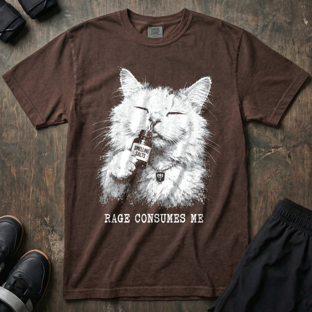 Rage Consumes Me - Relaxed Fit Tee - Espresso front