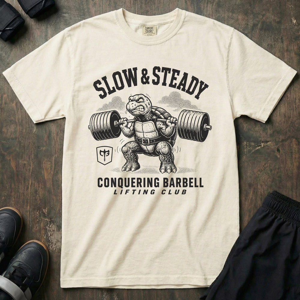 Slow & Steady Turtle relaxed fit tee in Ivory