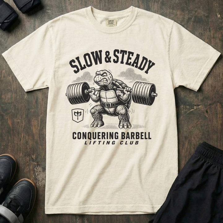 Slow &amp; Steady Turtle relaxed fit tee in Ivory