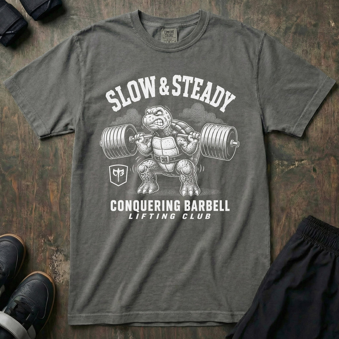 Slow &amp; Steady Turtle relaxed fit tee in Pepper