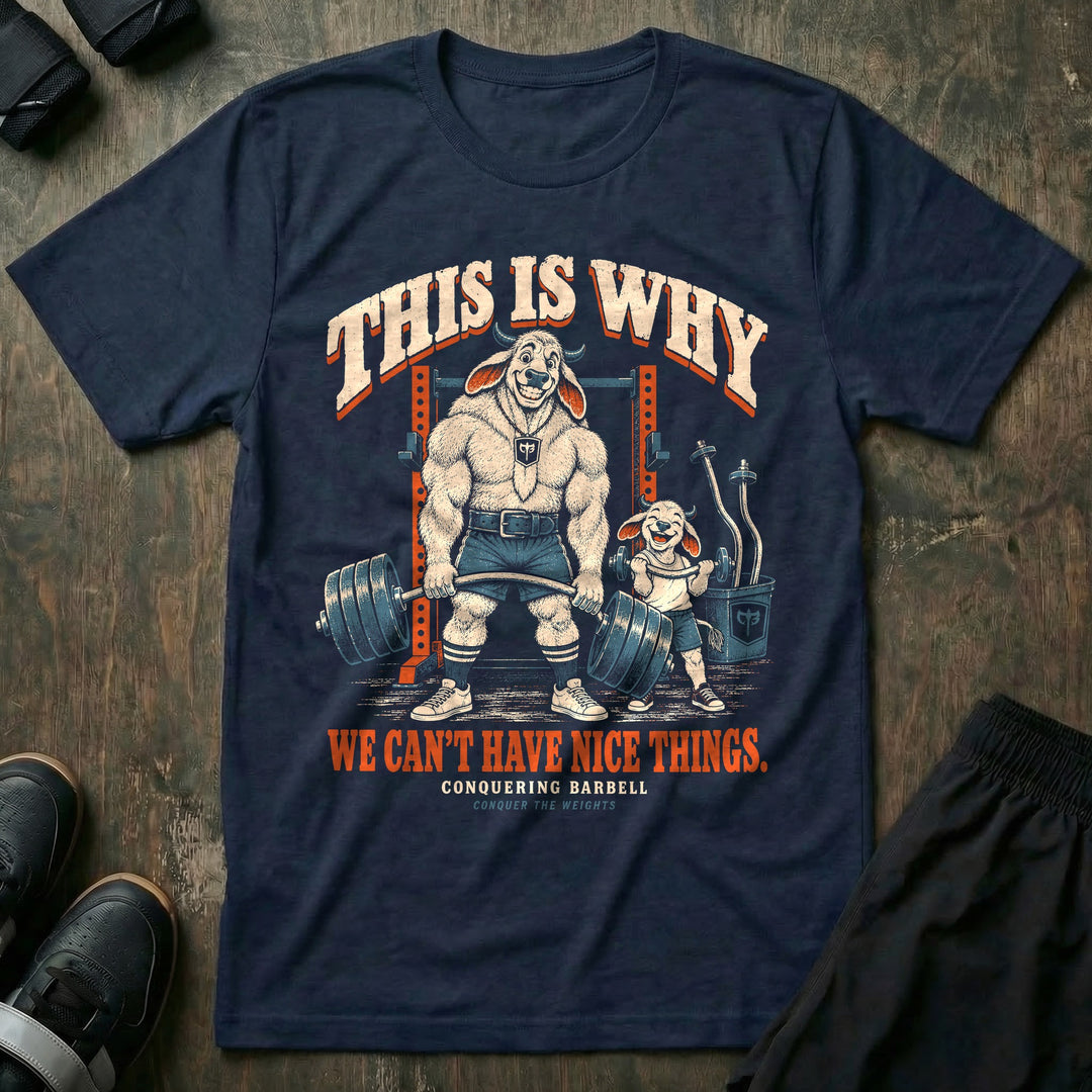This Is Why We Can&