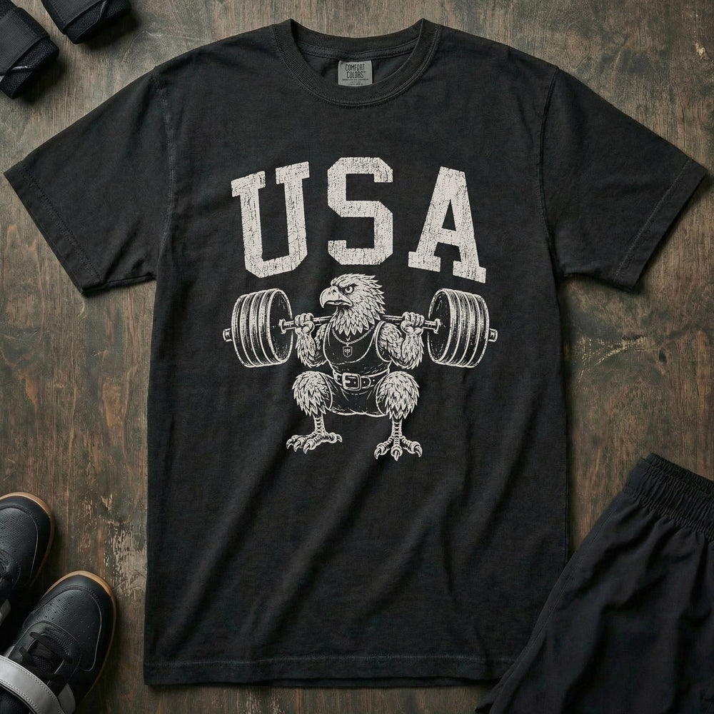 USA Eagle relaxed fit tee in Black