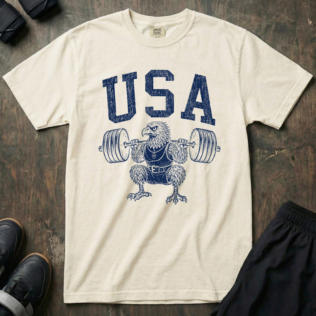 USA Eagle relaxed fit tee in Ivory